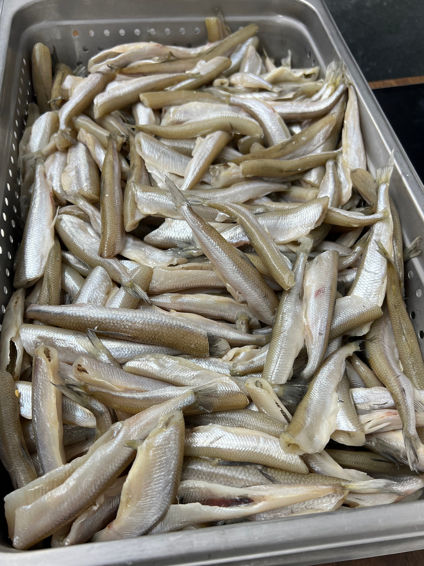 Lake Michigan Smelt