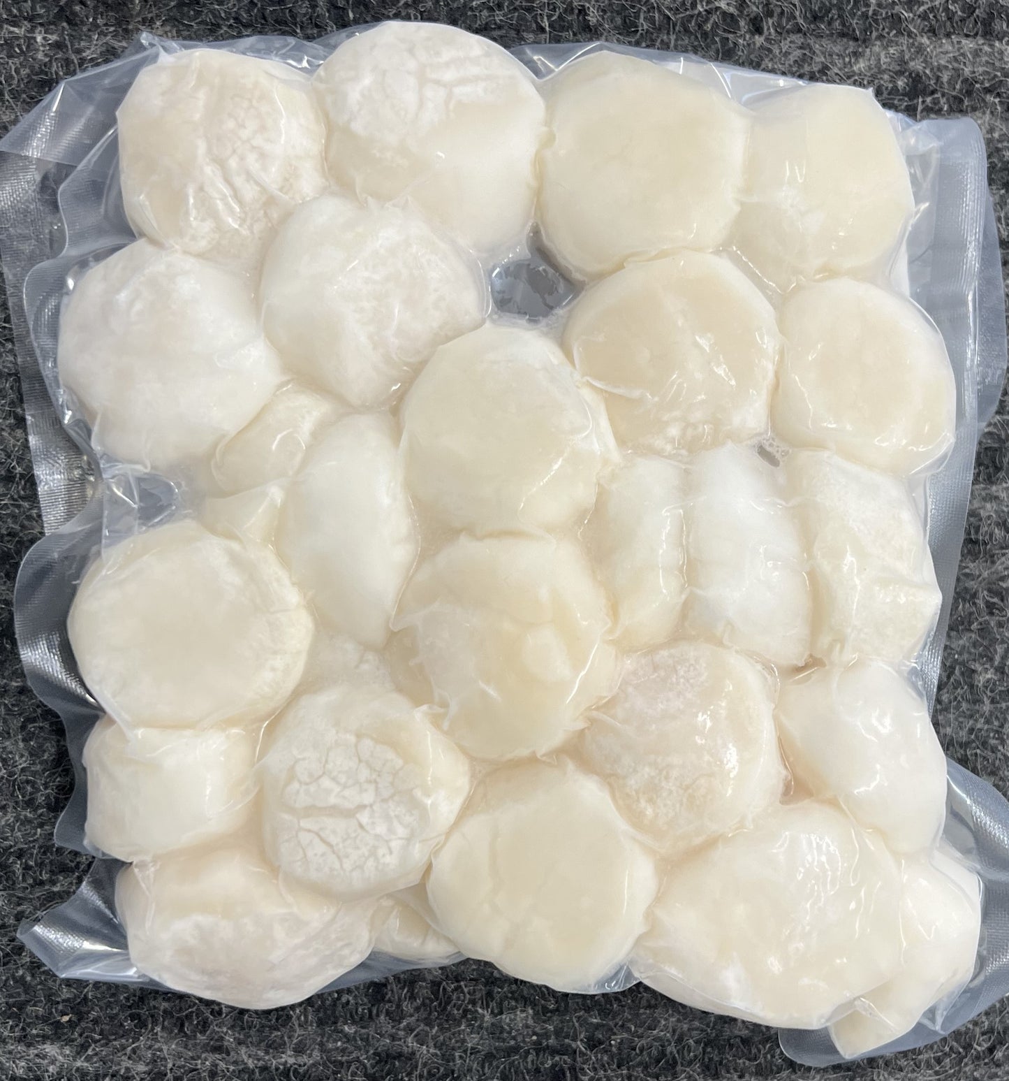 Sea Scallops