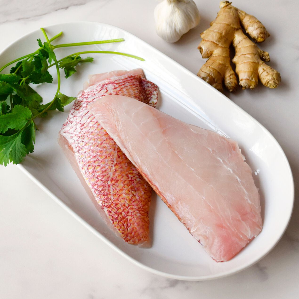 Red Snapper