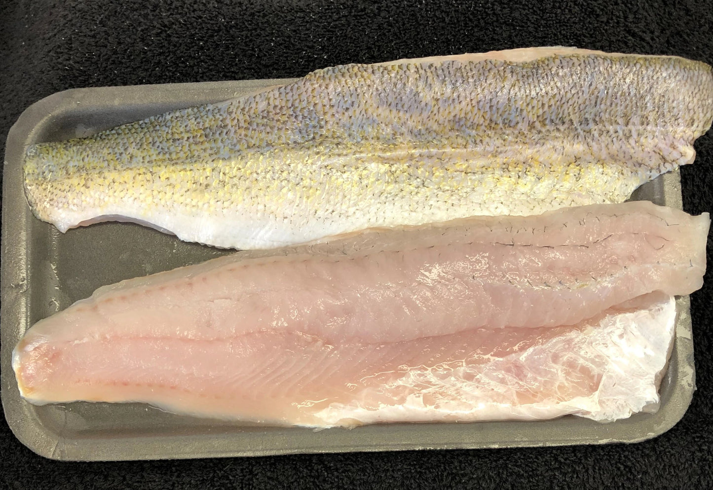 Walleye Filet Boneless 1 lb 