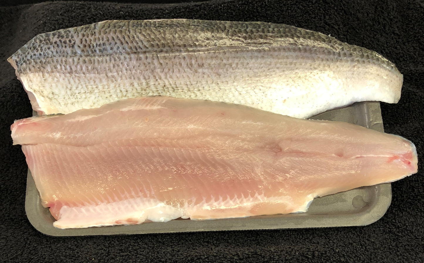 Whitefish Filet Boneless