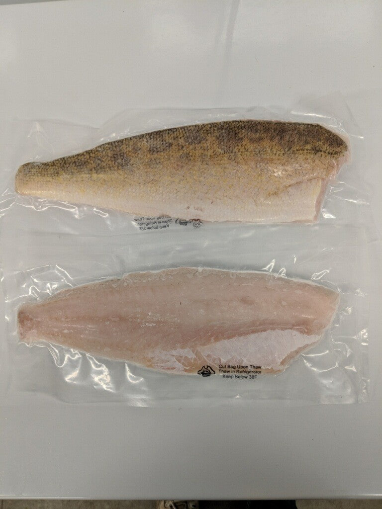 Walleye Filet Boneless 1 lb 