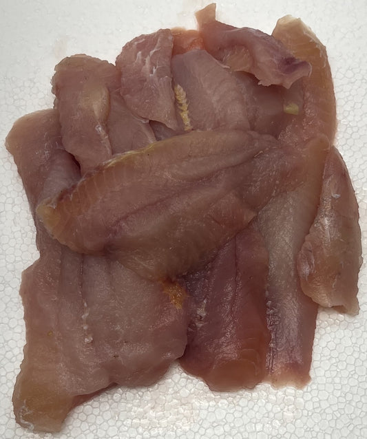 Bullhead Catfish